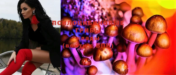 хмурый Алзамай
