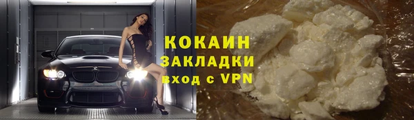хмурый Алзамай
