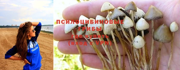 гашик Алексеевка
