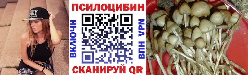 darknet как зайти  купить наркоту  Гаджиево  Галлюциногенные грибы мухоморы 